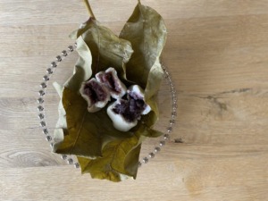 この季節がやってきた！郷土食『朴葉巻き』2025