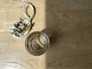 『日常の生活に、香りと、彩と、潤いを。』ポポラス農園さん