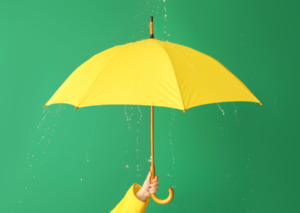 傘って高貴なものだった！　信州はただ今、梅雨